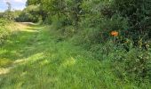 Randonnée Marche Valloire-sur-Cisse - Seillac - Circuit des Bois - Photo 17