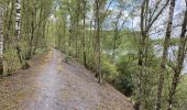 Tocht Stappen Condé-sur-l'Escaut - Condé sur l’Escaut 15,4 km - Photo 7