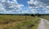 Tocht Stappen Edingen - Enghien Steenkerke 25 km - Photo 14