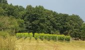 Randonnée Marche Valkenburg aan de Geul - Houthem 🇳🇱  - Photo 2