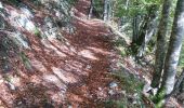Trail Walking La Pesse - forêt de Chapuzieux - Photo 2