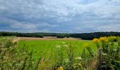 Trail Walking Palaiseau - Le chemin de Peguy Etape 1  - Photo 4