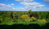 Tour Wandern Saint-Germain-sur-Vienne - Saint-Germain-sur-Vienne - Zig zag GR3 Fontevraud-l'Abbaye - 20km 350m 4h50 (45mn) - 2024 05 08 - Photo 8