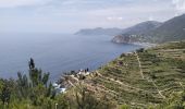 Tocht Stappen Riomaggiore - Manarola-Riomaggiore-3kmD250m - Photo 1