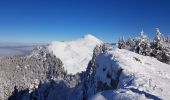 Randonnée Raquettes à neige Sarcenas - Le  Mont Fromage et ses crêtes - Photo 6