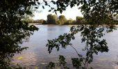 Randonnée Marche Gennes-Val-de-Loire - St Pierre en Vaux  - Photo 2