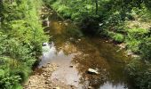 Excursión Bici de carretera Eupen - Tour du Lac d’Eupen - Photo 10