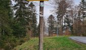 Randonnée Marche Saint-Sauves-d'Auvergne - Chalannes-stéle-charbonniere - Photo 8