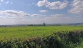 Randonnée Marche Jalhay - Solwaster sud - balade losange jaune - Photo 1