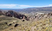 Tour Wandern Chile Chico - Circuito Piedra Clavada - Cueva de las Manos - Valle Lunar - Photo 20