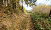 Tocht Stappen Vieux-Moulin - Vieux-Moulin 