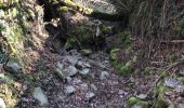 Tour Wandern Ferrières - Palogne hamoir Palogne  - Photo 12