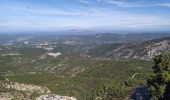 Trail Walking Plan-d'Aups-Sainte-Baume - plan d'aups ste baume - Photo 7