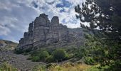 Tour Wandern Valavoire - Sommet de Jouère - Photo 6