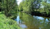 Trail On foot Viroinval - Fays - Photo 1