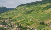 Trail Walking Cerdon - Cerdon Vierge et grottes - Photo 2