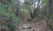 Excursión Senderismo Laroque-des-Albères - Laroque-des-Albères, petit tour des mas  - Photo 16