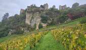 Trail Walking Marigny - Séjour Le Jura Et5 Marigny - Voiteur - Photo 2