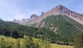 Tocht Stappen Saint-Paul-sur-Ubaye - PLAN DE PAROUART DEPUIS MALJASSET - Photo 6