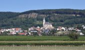 Tour Zu Fuß Unknown - Lauf- und Walkingstrecke Kleinhöflein - Photo 8