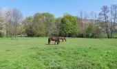 Tocht Stappen Marlenheim - Circuit de Bacchus - Le Riewerle - Photo 13