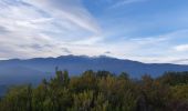 Tour Wandern Caixas - Fontcouverte Col de la Llosa - Photo 1