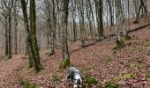 Trail Walking Meix-devant-Virton - Meix-devant-Virton - Photo 11