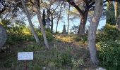 Trail Walking Quarante - Quarante,  la croix de juillet. - Photo 2