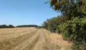 Randonnée Marche Neuvy-le-Roi - Neuvy-le-Roi - Ancien PR puis PR - 19.8km 180m 5h55 (55mn) - 2025 07 10 - Photo 12