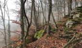 Excursión Senderismo Waldbillig - Mullerthal - Photo 2