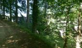 Trail Walking Saissac - le lampy - Photo 18