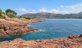 Tour Wandern Saint-Raphaël - Les Ferrieres depuis la Necropole de Boul... - Photo 2