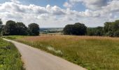 Randonnée Marche Saint-Jans-Cappel - La cordillère des Flandres - Photo 1