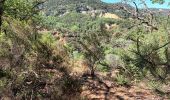 Tocht Stappen Rustrel - tour du Colorado Provencal-10-05-23 - Photo 8