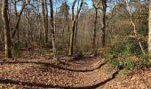 Randonnée Marche Compiègne - Les beaux monts - Photo 8