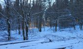 Tour Wandern La Roche-en-Ardenne - Samree 130125 - Photo 3