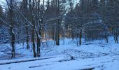 Tour Wandern La Roche-en-Ardenne - Samree 130125 - Photo 3