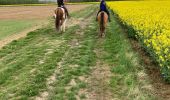 Trail Horseback riding Hériménil - Élodie 2 tivio - Photo 1