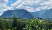 Excursión Senderismo La Motte-Chalancon - La Motte Chalancon - Plateau de la Chau - Photo 18