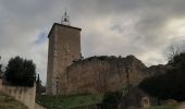Trail Walking Puimoisson - PUIMOISSON RIEZ o n  - Photo 8