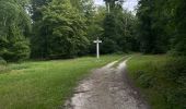 Trail Walking Compiègne - Randonnée en Forêt de Compiègne_51_le Mont du Tremble et les Beaux Monts - Photo 11