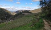 Excursión Senderismo Boyeux-Saint-Jérôme - Boyeux-Lhuire-St Jérôme - Photo 1