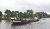 Tocht Te voet Zwolle - WNW IJsseldelta - Het Hoge Laar/Westerveldsebos -blauwe route - Photo 2