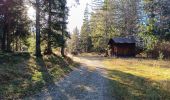 Tocht Stappen Séchilienne - Lac de Luitel - Pic de l'oeilly  - Photo 18