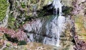 Tour Wandern Theux - Promenade vers la cascade de Haldeboeuf  - Photo 2