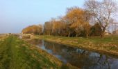 Tocht Te voet South Holland - Willow Tree Fen Blue intermediate route - Photo 1