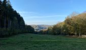 Tour Wandern Yvoir - Entre Meuse et Bocq, départ de Mont - Photo 13