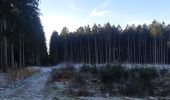 Tocht Stappen Theux - autour du bois de la porallée - Photo 2