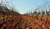 Percorso Marcia La Crau - Fenouillet - Chateau de Hyères - retour par les vignes - Photo 7