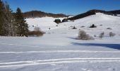 Randonnée Raquettes à neige La Pesse - L'embossieux-la Pourvoirie - Photo 1